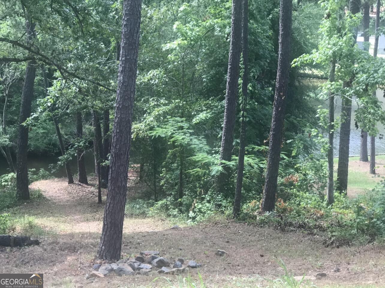 333 Venture Trail Sparta, GA 31087 - Photo 5 of 19