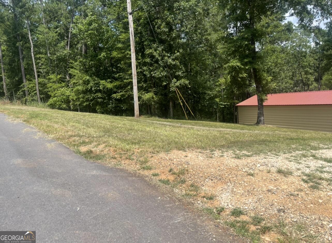 333 Venture Trail Sparta, GA 31087 - Photo 9 of 19