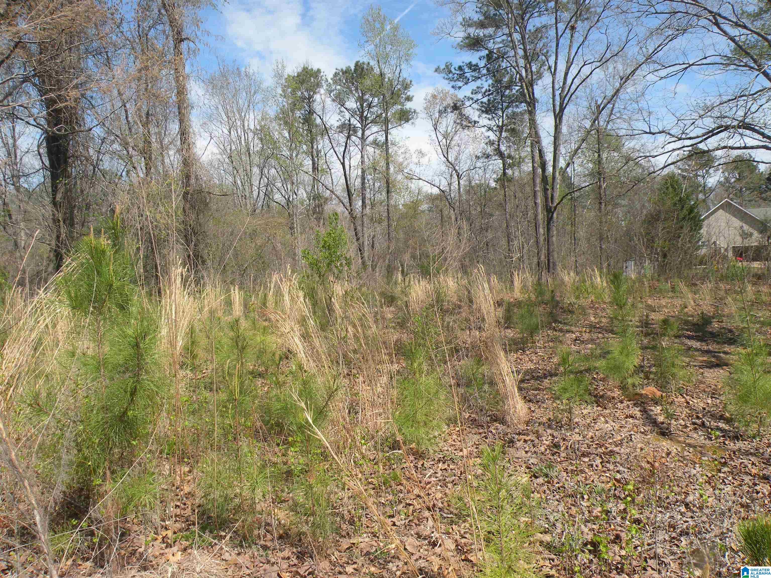 152 Honeysuckle Road Sylacauga, AL 35150 - Photo 8 of 8