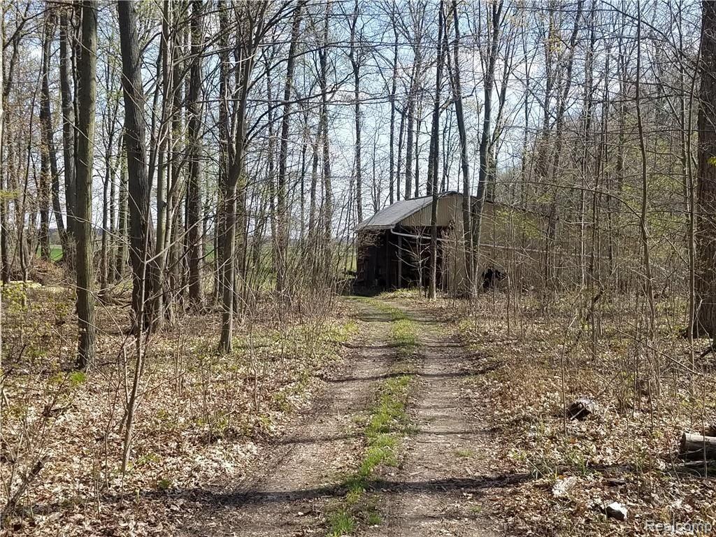 8218 Shipman Road Corunna, MI 48817 - Photo 12 of 26 trail in woods 2.jpg