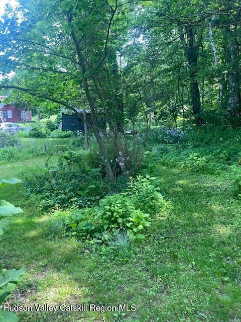 40 North Mountain Road Copake Falls, NY 12517 - Photo 15 of 15 IMG_1501