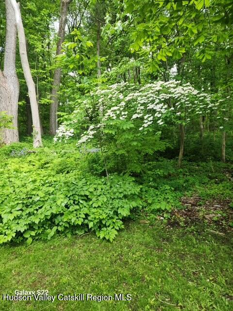 40 North Mountain Road Copake Falls, NY 12517 - Photo 3 of 15 1797505702417853894