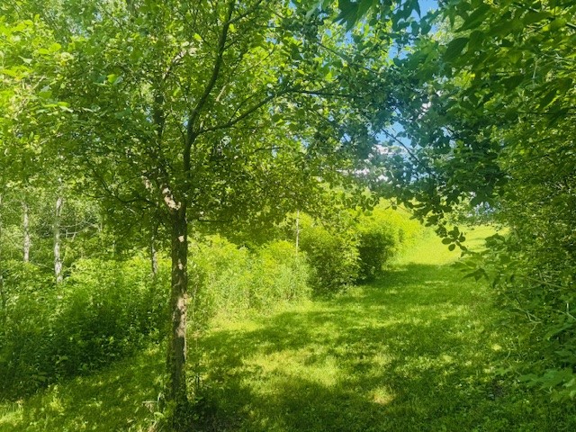 31 Myslivecek Road Lowman, NY 14861 - Photo 35 of 50