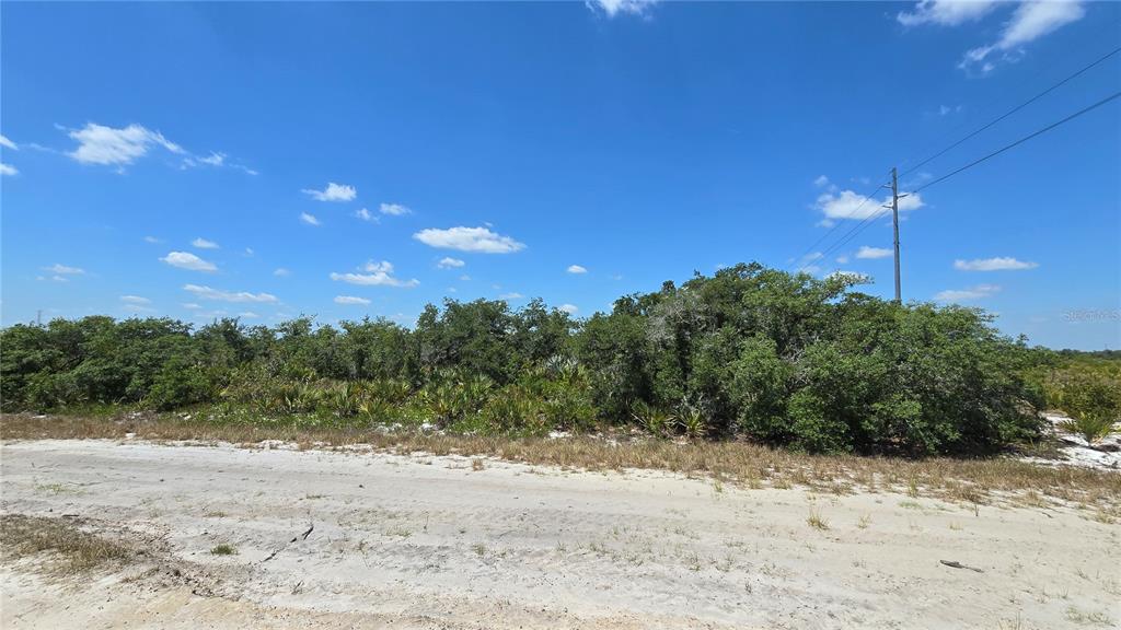 1400 South Reed Road Avon Park, FL 33825 - Photo 1 of 1 Gallery Image 1
