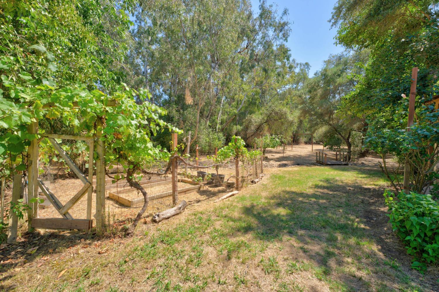 4335 Walnut Avenue Sacramento, CA 95821 - Photo 48 of 62