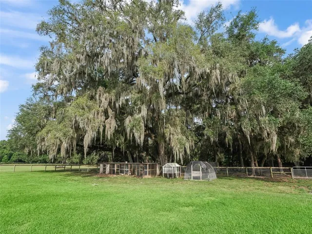 a view of a park with large trees