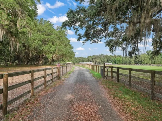a view of park with bench and trees