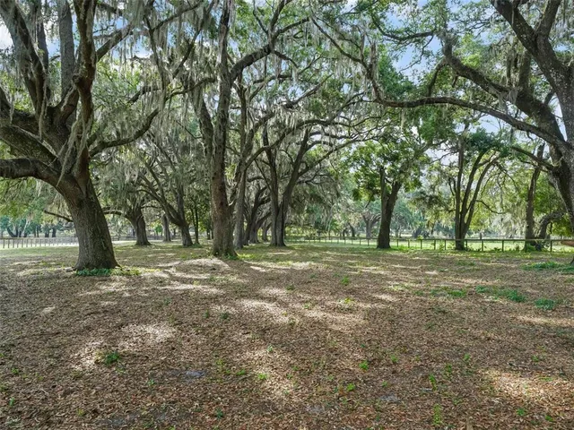 a view of outdoor space with trees