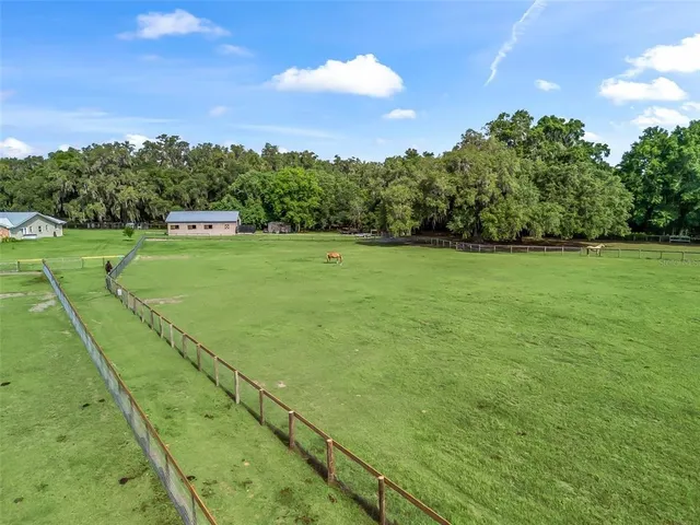 a view of a big yard with large trees