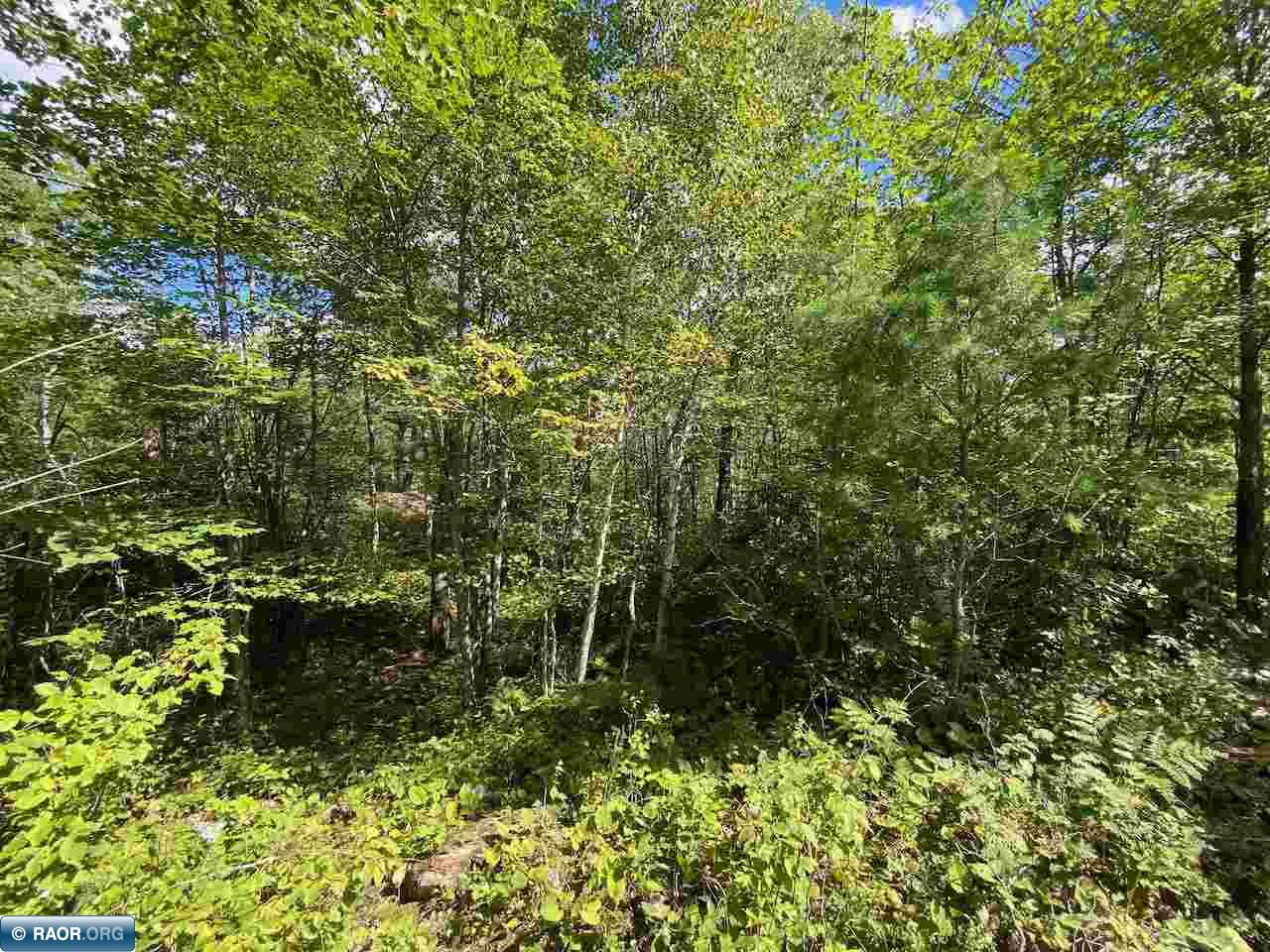 Tbd Lot 7 Wilderness Way Road Orr, MN 55771 - Photo 19 of 20 Gallery Image 19
