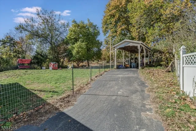 a view of a yard with plants and trees