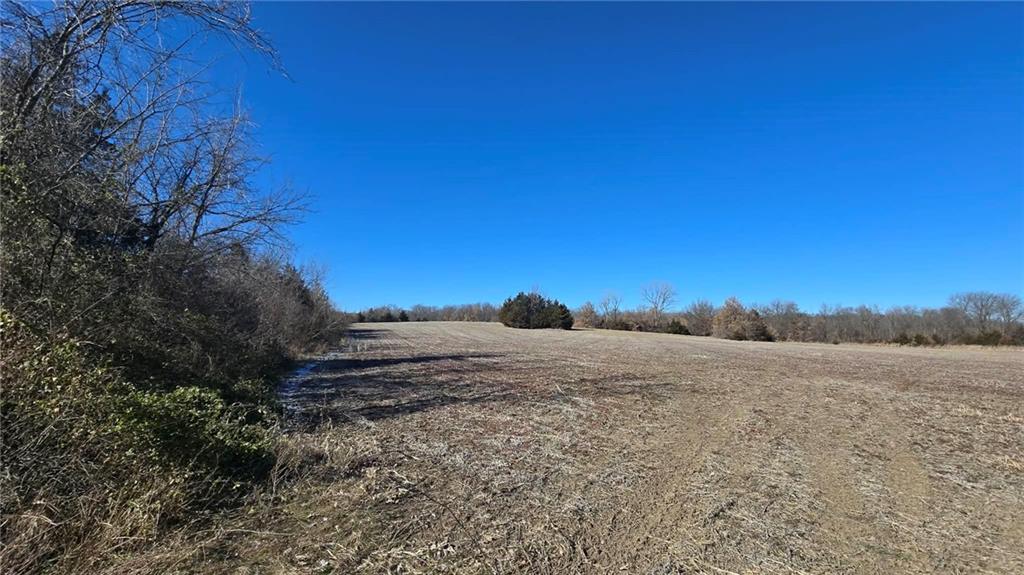 34918 East Colbern Road Lone Jack, MO 64070 - Photo 3 of 22