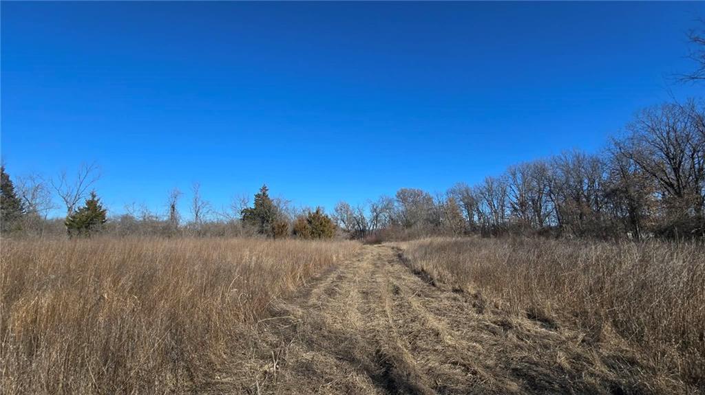 34918 East Colbern Road Lone Jack, MO 64070 - Photo 5 of 22