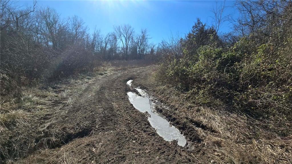 34918 East Colbern Road Lone Jack, MO 64070 - Photo 6 of 22