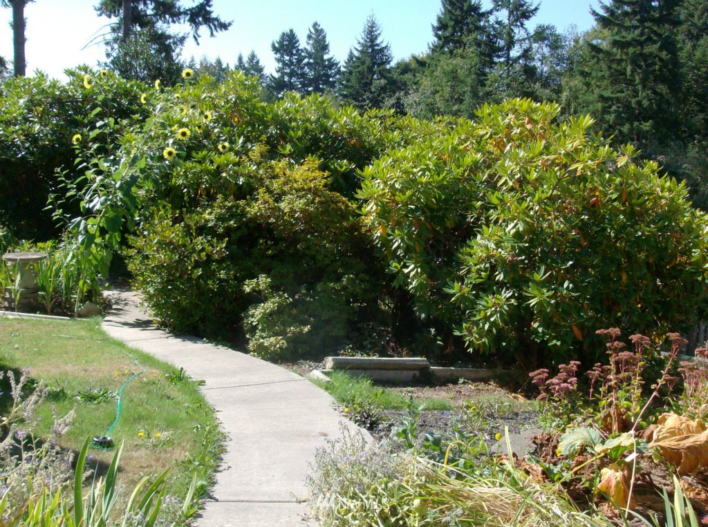 727 Dundee Road Northwest Olympia, WA 98502 - Photo 3 of 15 Gallery Image 3