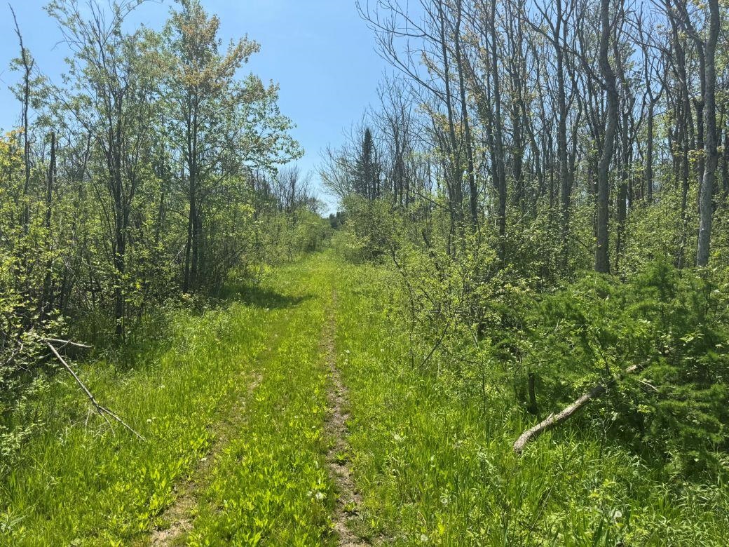W17810 Eland Road Wittenberg, WI 54499 - Photo 89 of 89