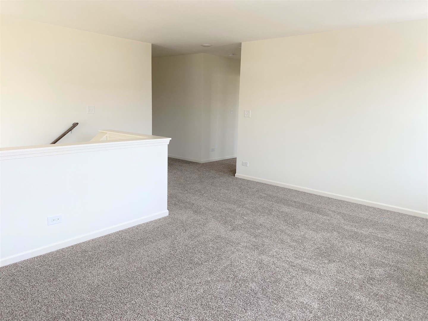 2025 Rownham Hill Road New Lenox, IL 60451 - Photo 16 of 25