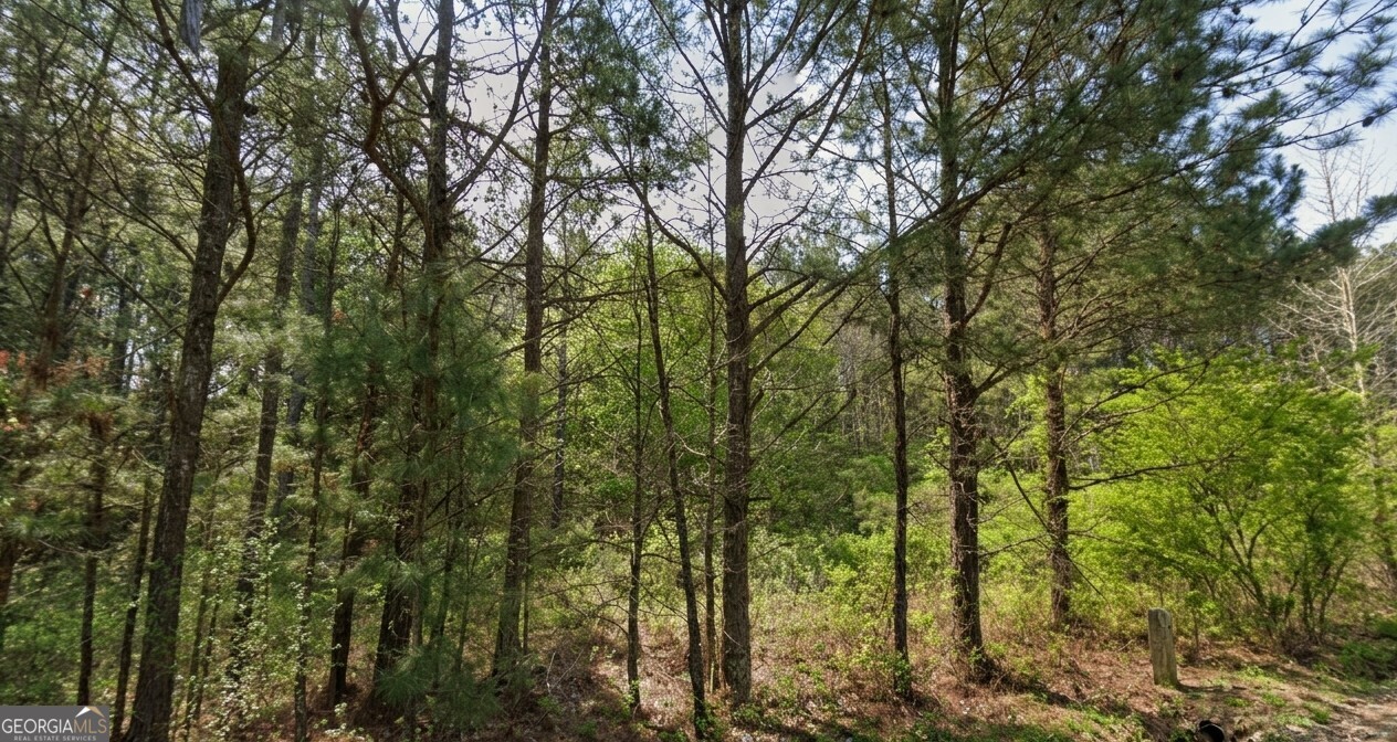 0 Collard Valley Road, Unit LOT 1 Cedartown, GA 30104 - Photo 5 of 8