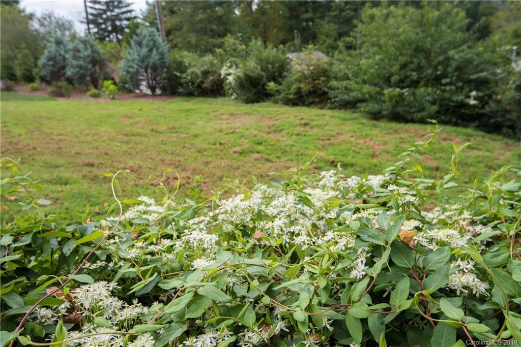 41 Ramoth Road Asheville, NC 28804 - Photo 7 of 23 Gallery Image 7
