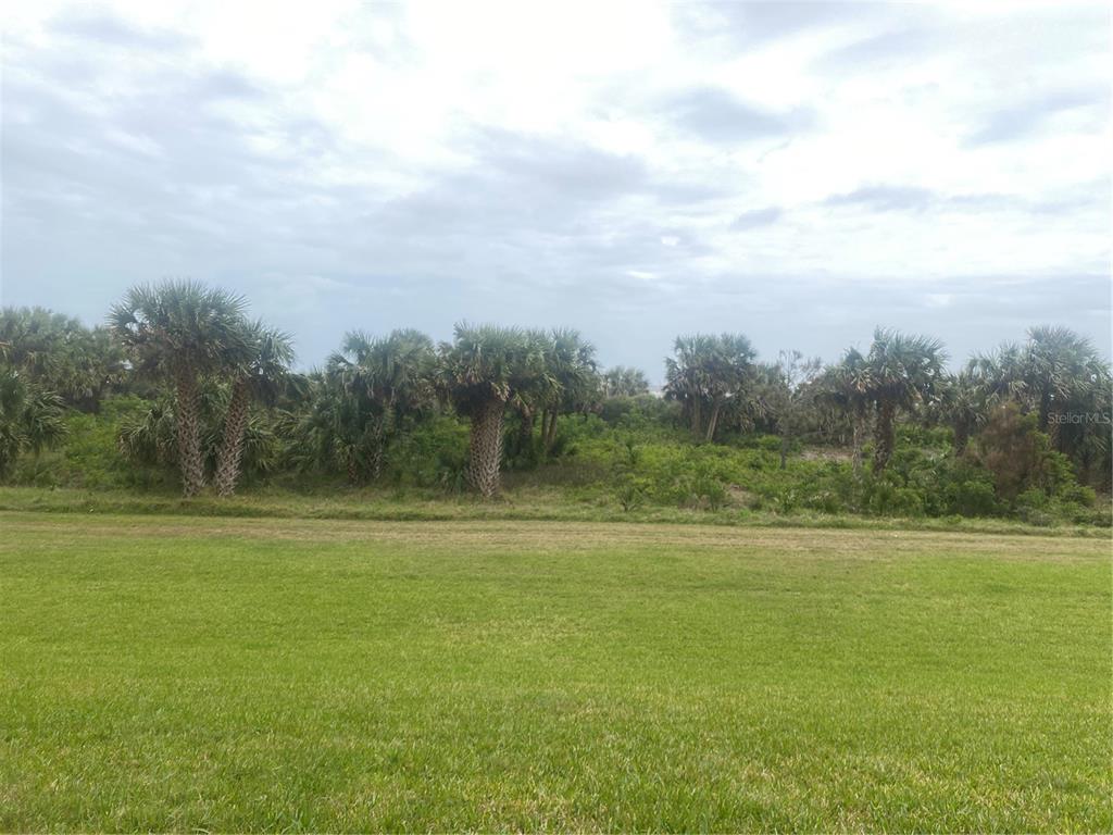 60 Surfview Drive, Unit 121 Palm Coast, FL 32137 - Photo 6 of 13 a view of a field with an ocean