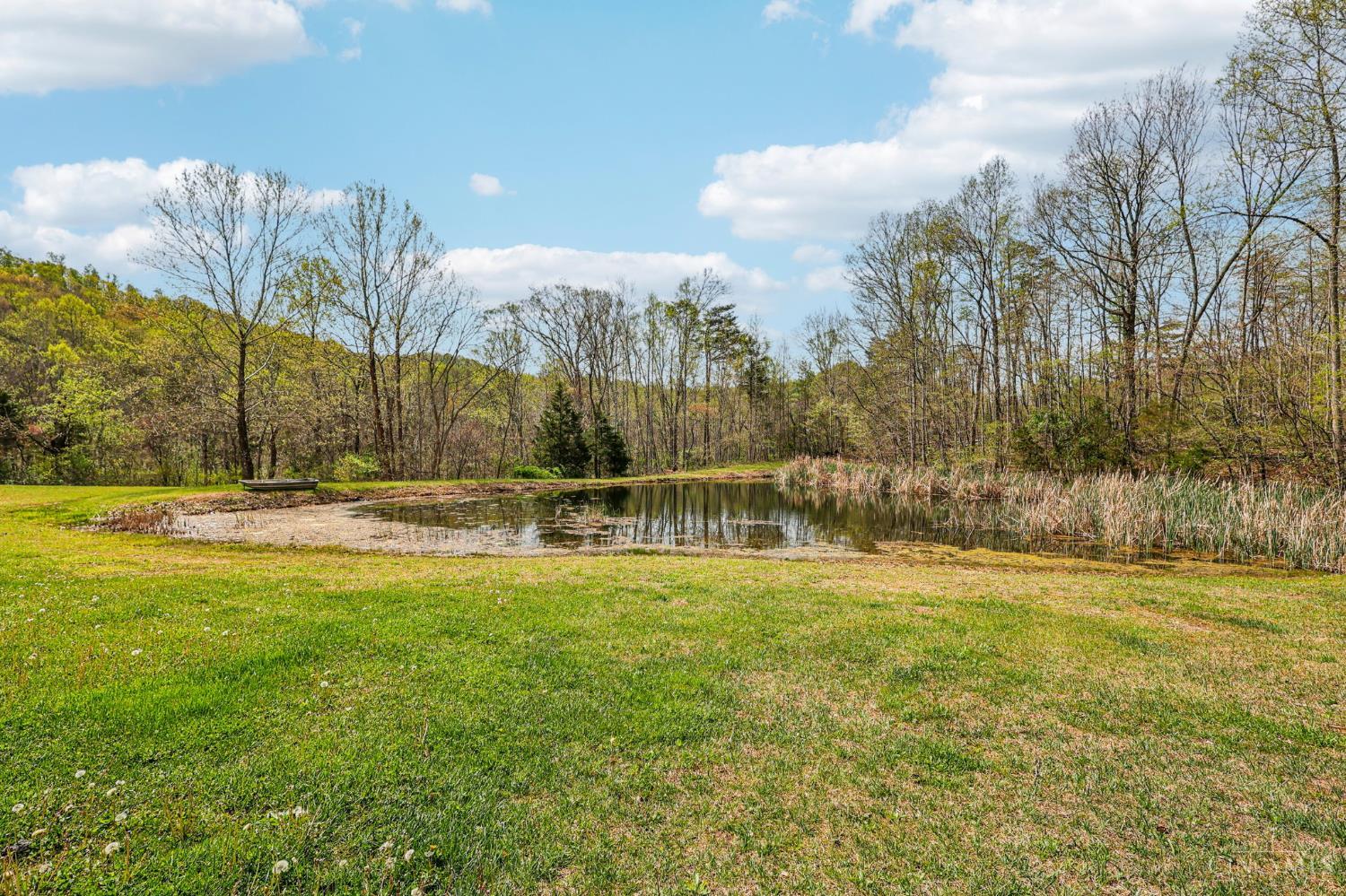 189 Hamilton Road Lynx, OH 45650 - Photo 48 of 75