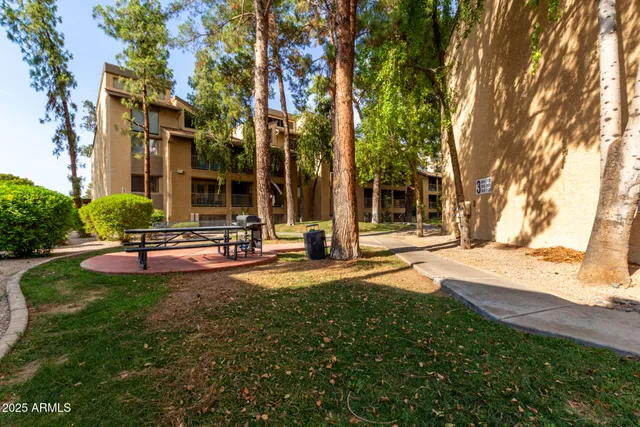 a view of a patio with a tree