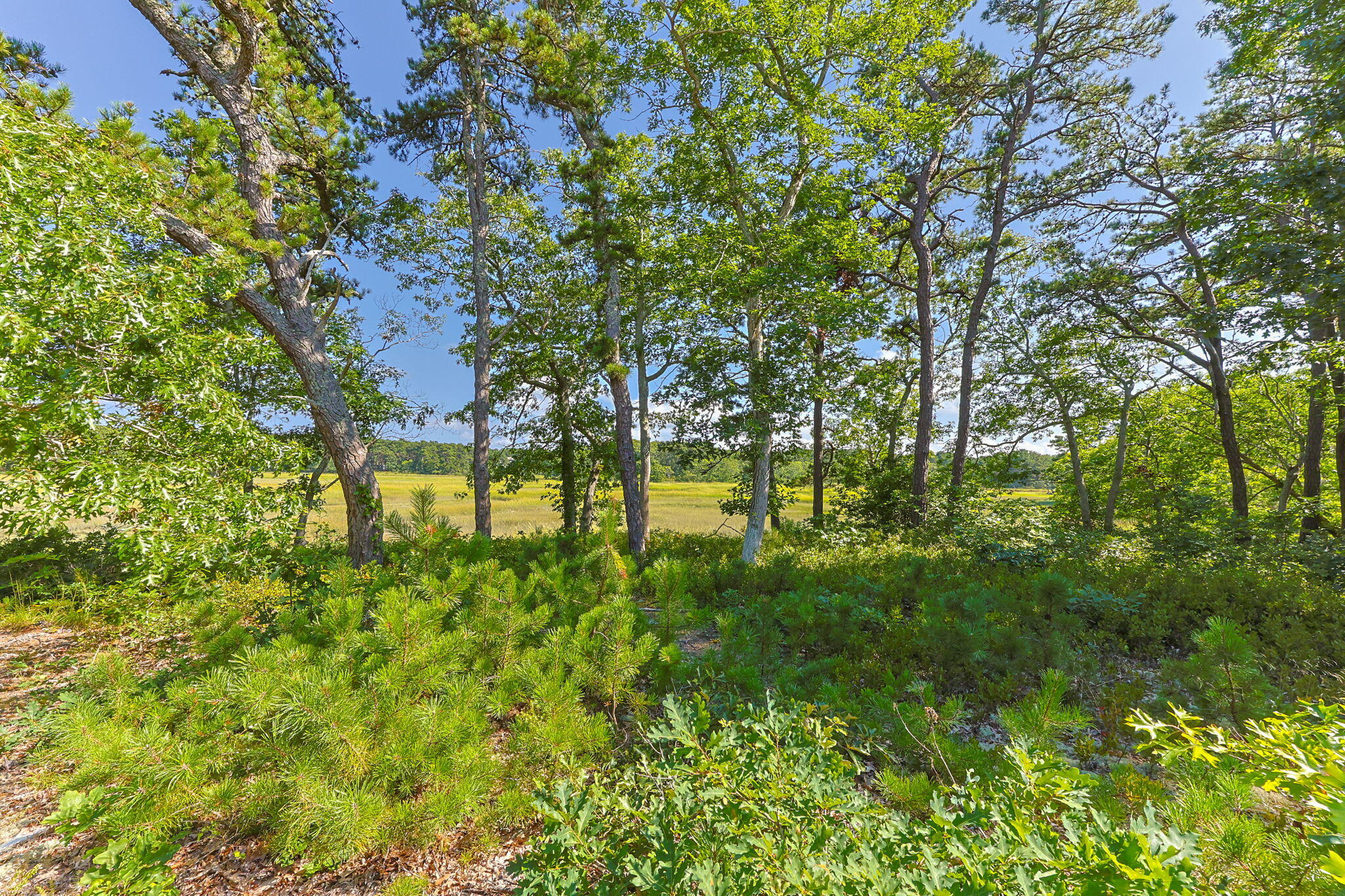56 Warren Road Wellfleet, MA 02667 - Photo 30 of 40 33-web-or-mls-56-warren-rd