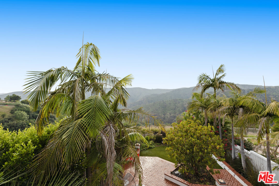 2305 Canyonback Road Los Angeles, CA 90049 - Photo 18 of 26 a view of a plant