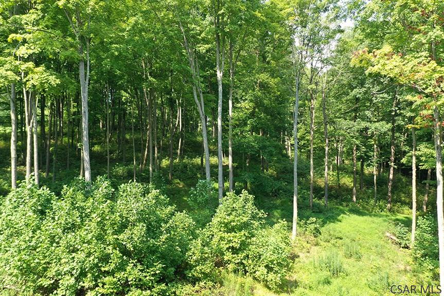 Ridge Road Rockwood, PA 15557 - Photo 16 of 22