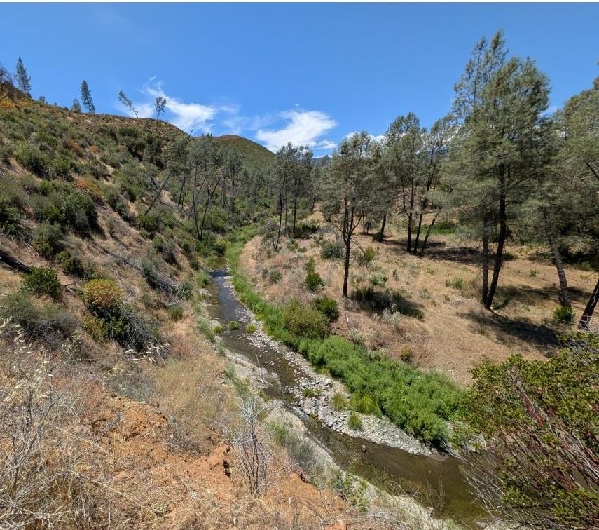 0 Colyear Springs Road Red Bluff, CA 96080 - Photo 11 of 18