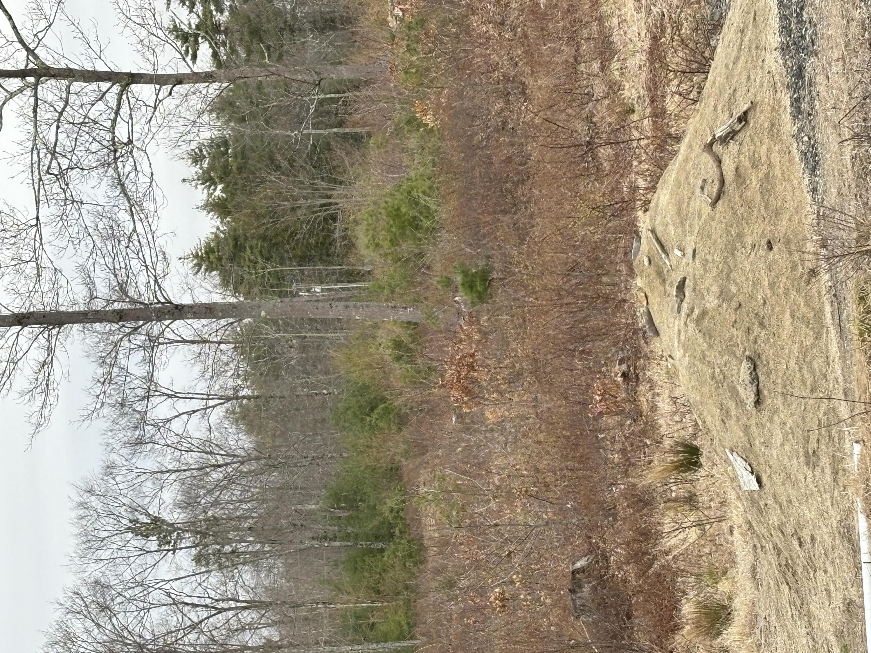 Lot 4 Webber Ridge Ln Wells Wells, ME 04090 - Photo 9 of 32 IMG_1884