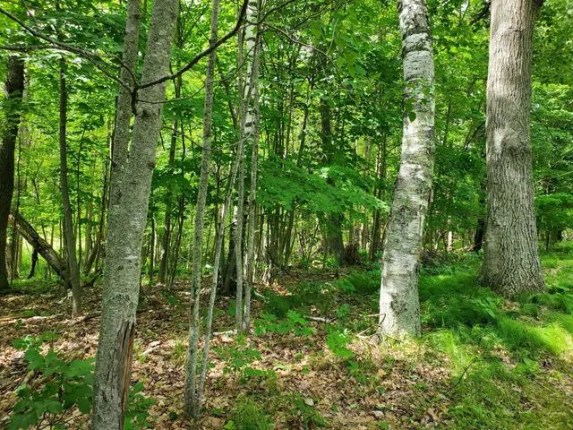 $275,000 | 23635 County Road 36, Emily, MN 56447