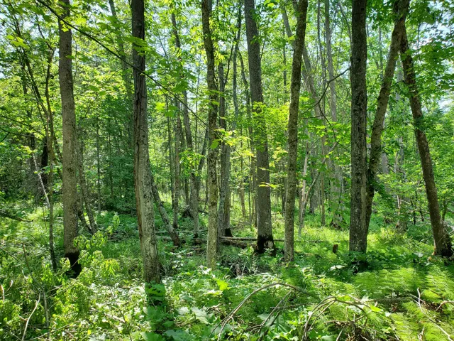 $275,000 | 23635 County Road 36, Emily, MN 56447