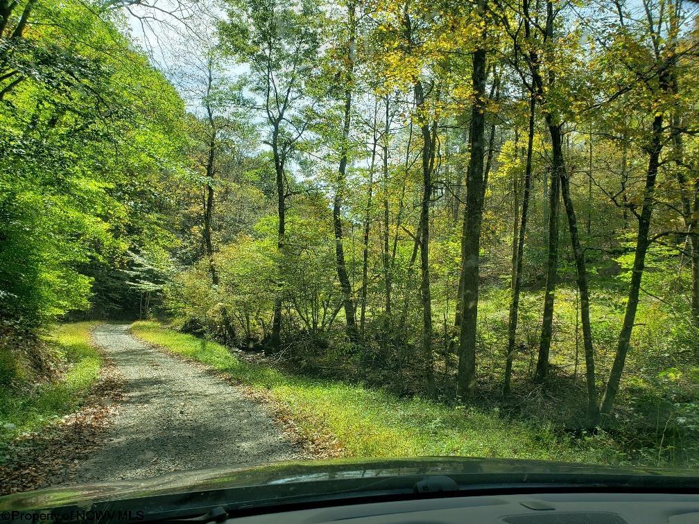 100 Steve Rosier Road Parsons, WV 26287 - Photo 6 of 21 Gallery Image 6