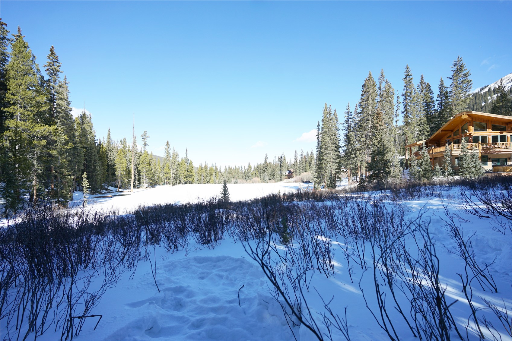 14 Rena Road Breckenridge, CO 80424 - Photo 6 of 6 Beautiful neighborhood