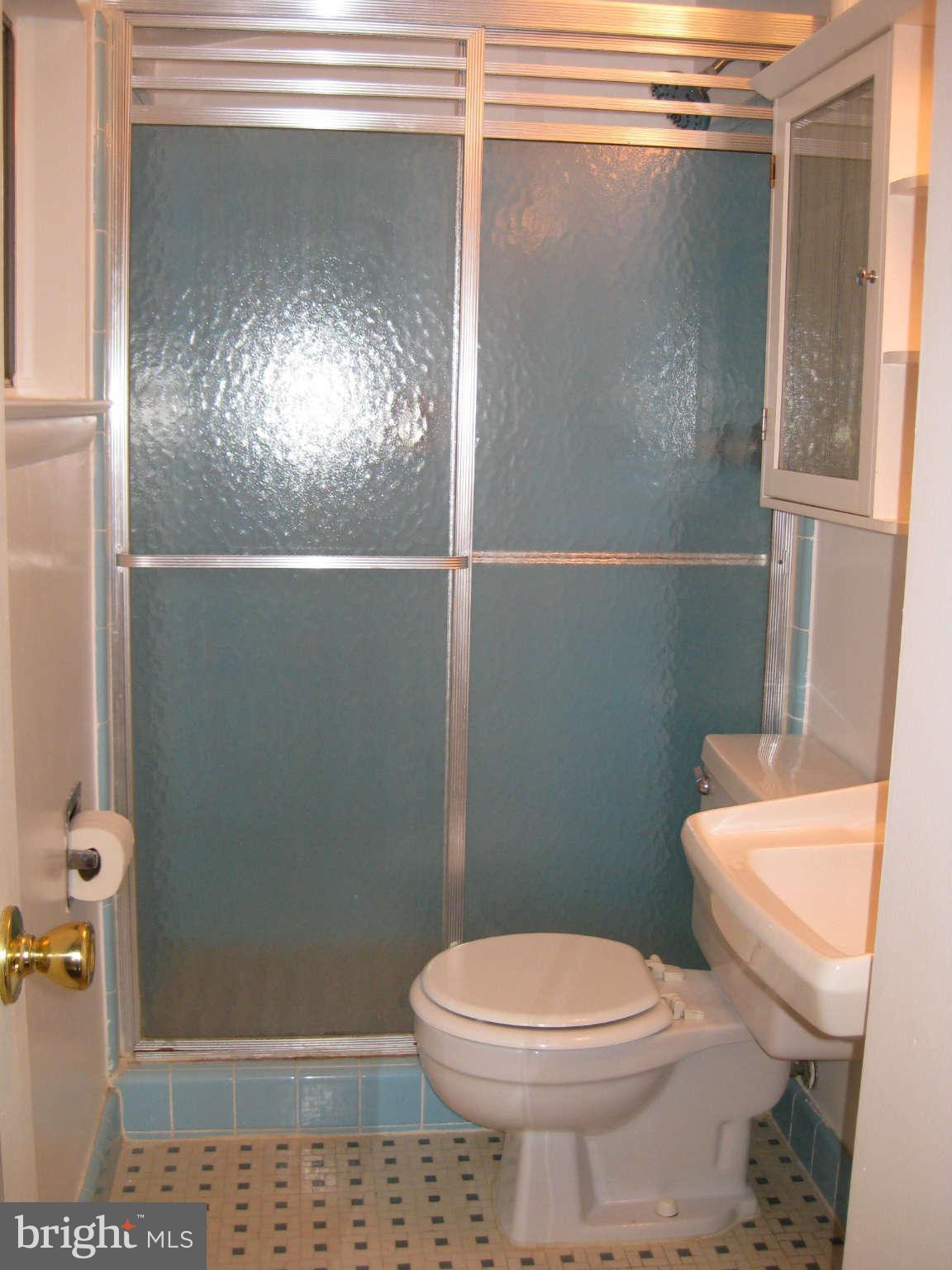 811 North Belgrade Road Silver Spring, MD 20902 - Photo 18 of 30 Bath (Master)