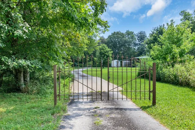 a view of a park with plants and large trees