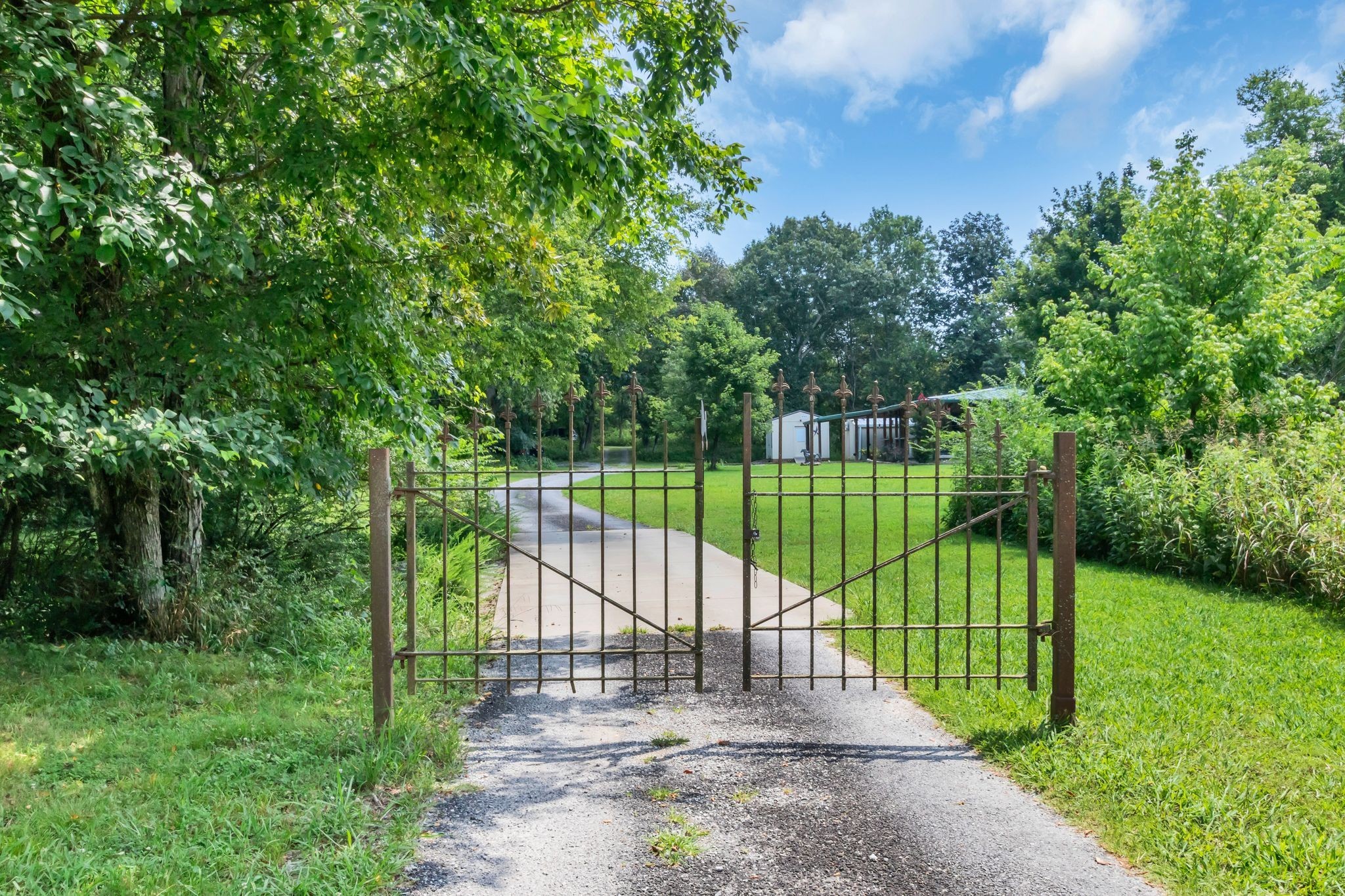 10669 South Windrow Road Rockvale, TN 37153 - Photo 2 of 53 a view of a park with plants and large trees