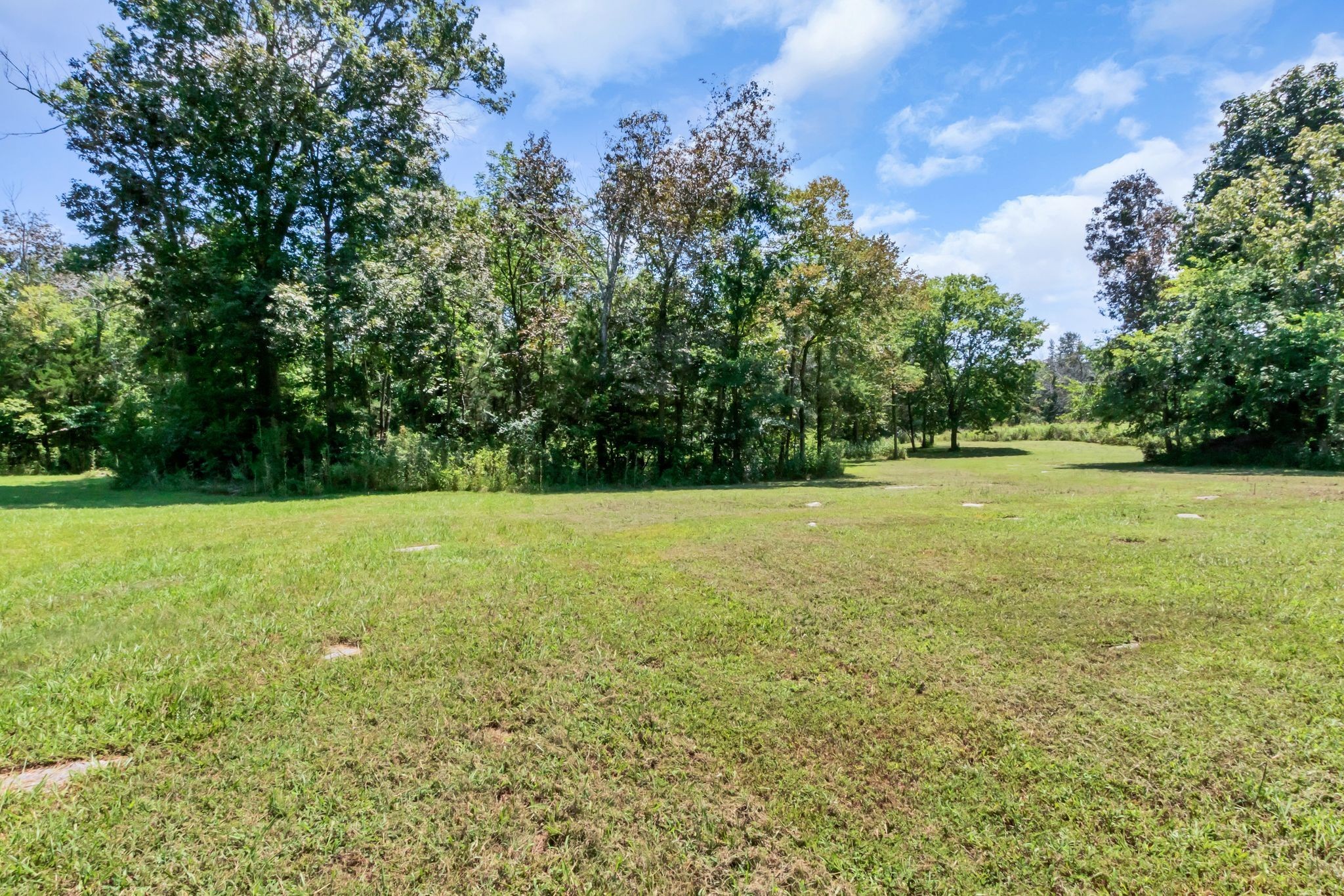 10669 South Windrow Road Rockvale, TN 37153 - Photo 51 of 53 a view of a field with an trees