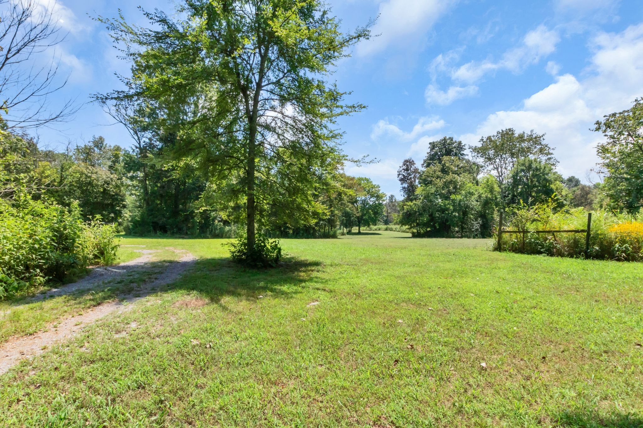 10669 South Windrow Road Rockvale, TN 37153 - Photo 52 of 53 a view of a yard with a large trees