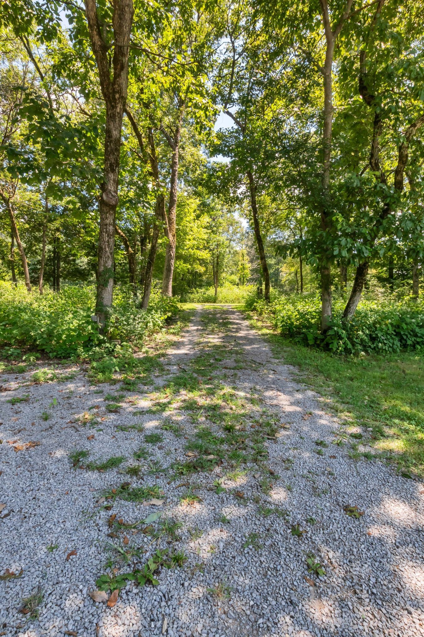 10669 South Windrow Road Rockvale, TN 37153 - Photo 53 of 53 a view of outdoor space with trees all around
