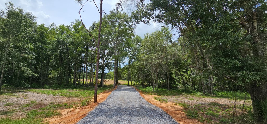 L1 New Hinson Road Slocomb, AL 36375 - Photo 22 of 30