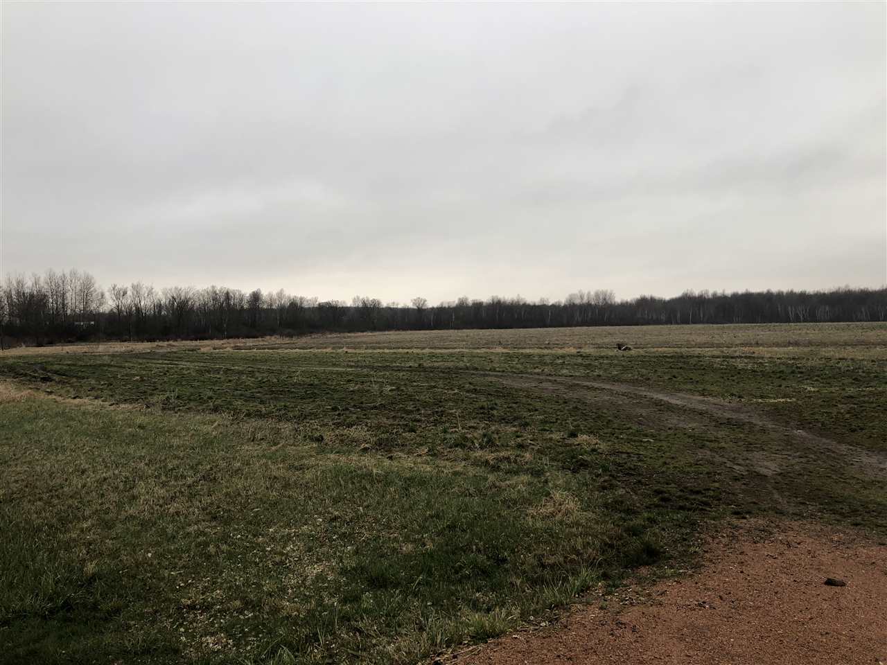 70.62-acres County Rd F Arpin, WI 54410 - Photo 1 of 1