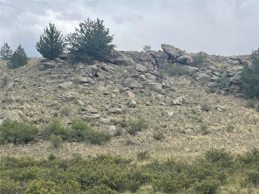 a view of a dry field with trees in background
