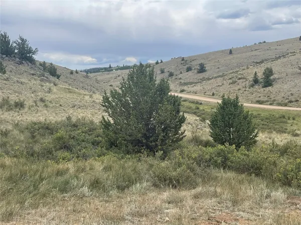 a view of a big yard with a mountain