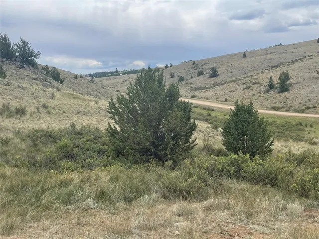 a view of a big yard with a mountain