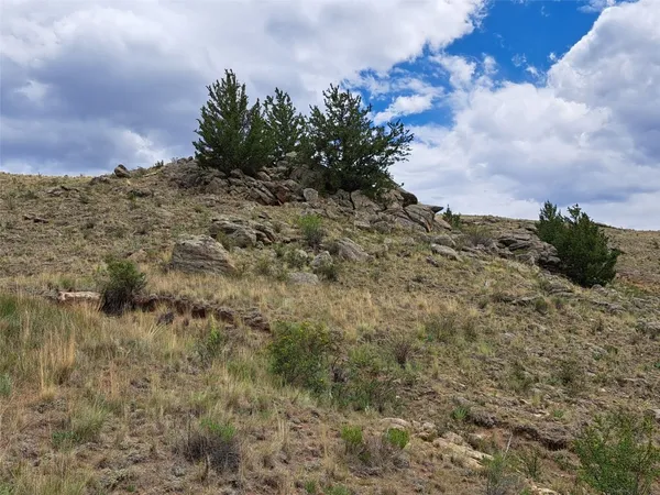 a view of a dry field with trees in the background