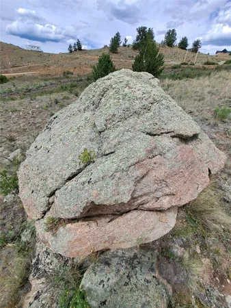 a view of a dry yard with wooden fence