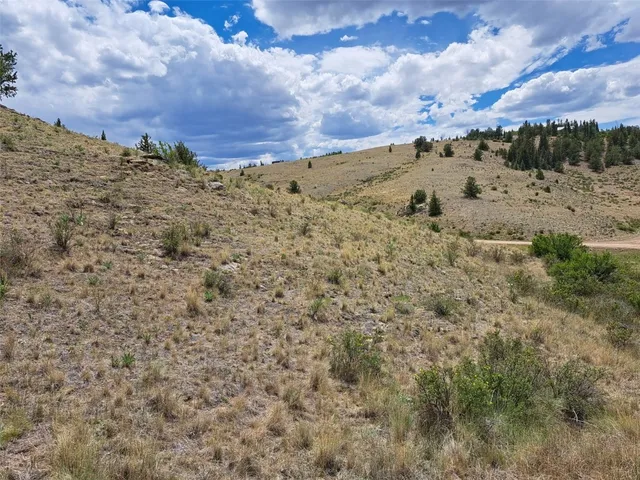 a view of a yard with a mountain