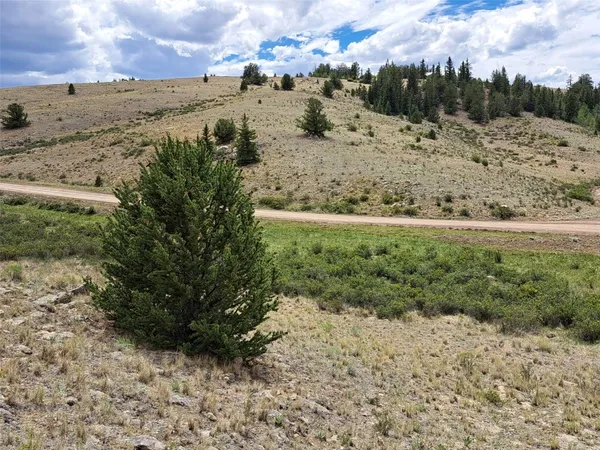 a view of a dry yard with mountain